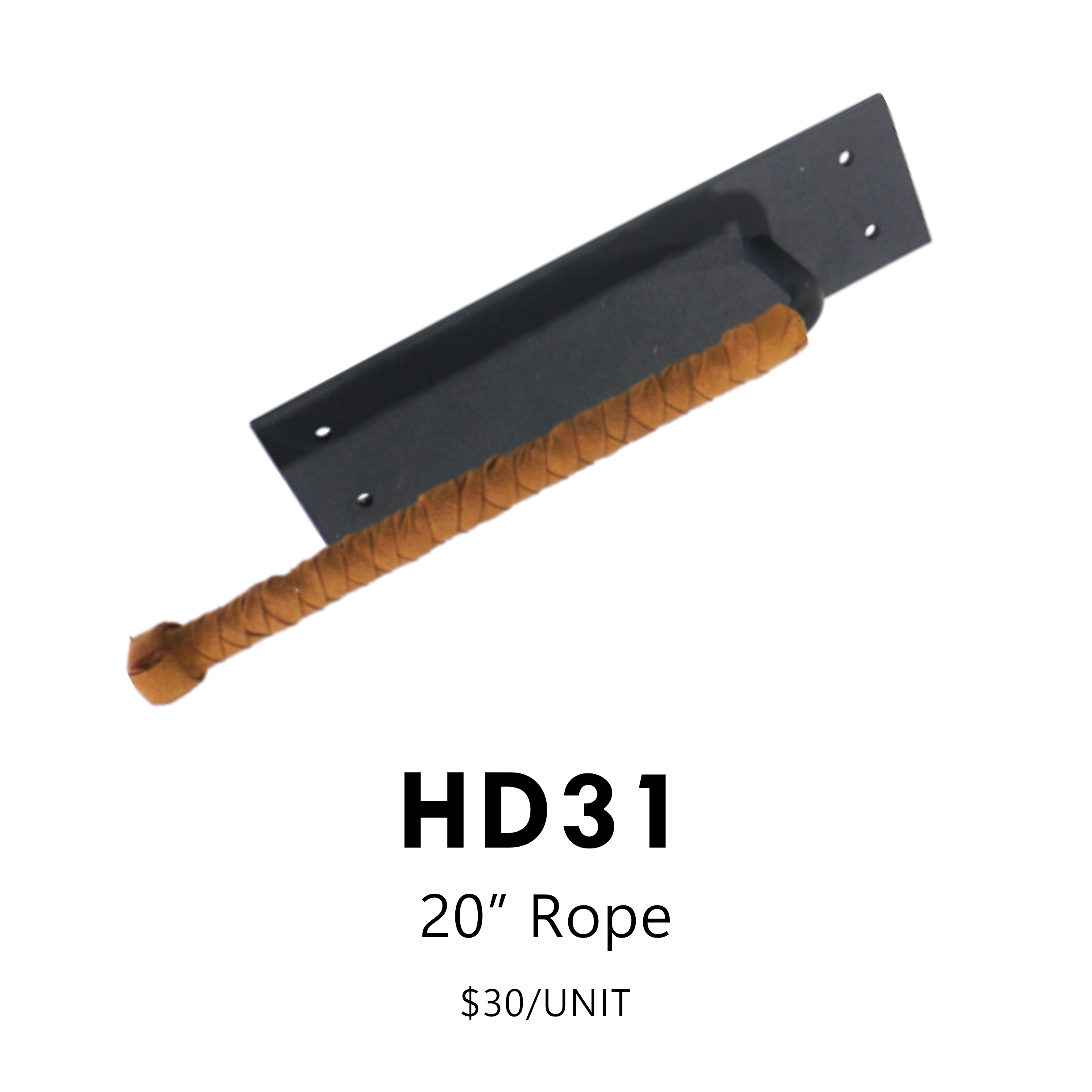 HD31